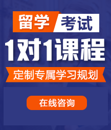 日屄操屄视频免费观看留学考试一对一精品课